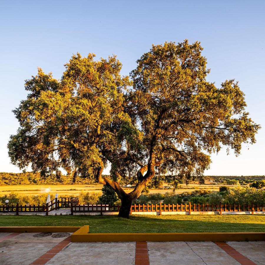 Monte Da Raposinha Enoturismo, Montargil Villa Екстериор снимка